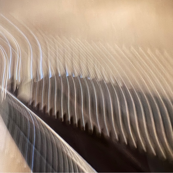 Nolita 19 With Signature Quilting coach cj527 - Picture 5 of 7